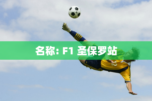 名称: F1 圣保罗站