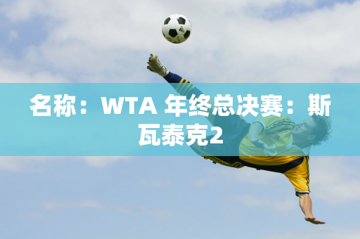 名称：WTA 年终总决赛：斯瓦泰克2