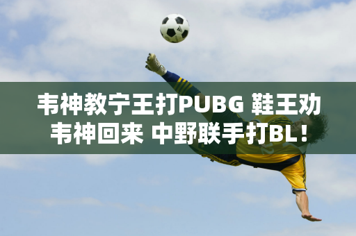 韦神教宁王打PUBG 鞋王劝韦神回来 中野联手打BL！