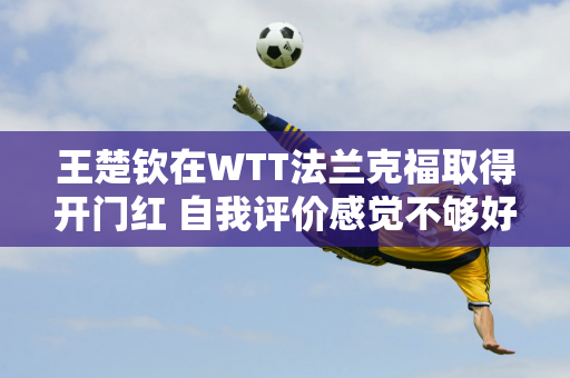 王楚钦在WTT法兰克福取得开门红 自我评价感觉不够好 结果才是最重要的