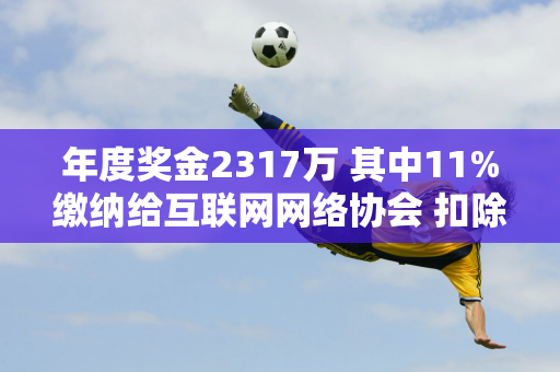 年度奖金2317万 其中11%缴纳给互联网网络协会 扣除其他费用 郑勤文还剩下多少钱？