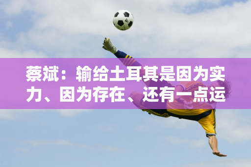 蔡斌：输给土耳其是因为实力、因为存在、还有一点运气