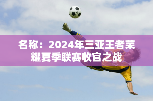 名称：2024年三亚王者荣耀夏季联赛收官之战