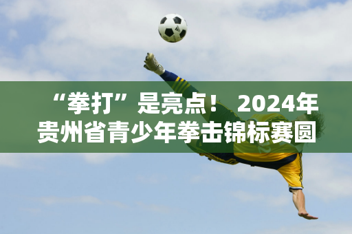 “拳打”是亮点！ 2024年贵州省青少年拳击锦标赛圆满落幕