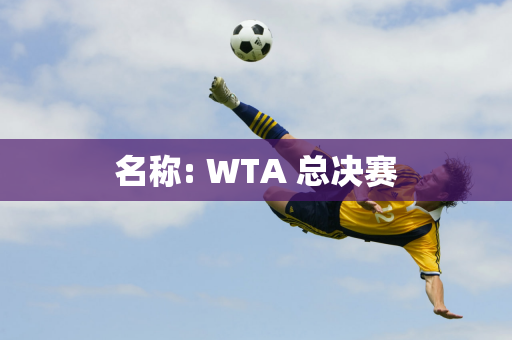 名称: WTA 总决赛