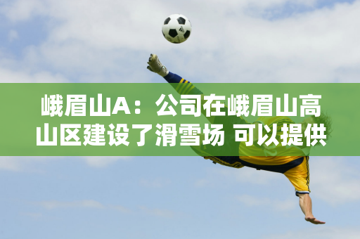 峨眉山A：公司在峨眉山高山区建设了滑雪场 可以提供单板滑雪、冰冻海盗船、雪上转体等娱乐项目