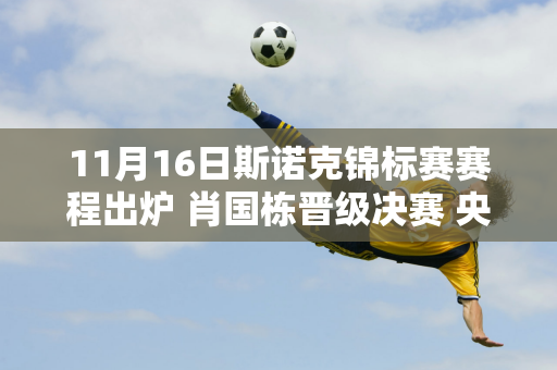 11月16日斯诺克锦标赛赛程出炉 肖国栋晋级决赛 央视节目名单揭晓