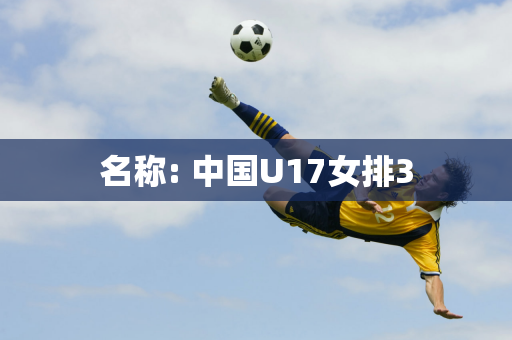 名称: 中国U17女排3