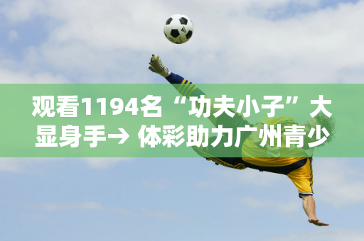 观看1194名“功夫小子”大显身手→ 体彩助力广州青少年武术套路比赛