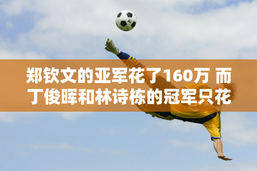 郑钦文的亚军花了160万 而丁俊晖和林诗栋的冠军只花了162万和22万？差距是隐藏的吗？