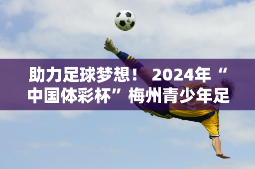 助力足球梦想！ 2024年“中国体彩杯”梅州青少年足球慈善邀请赛圆满落幕