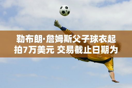 勒布朗·詹姆斯父子球衣起拍7万美元 交易截止日期为12月5日