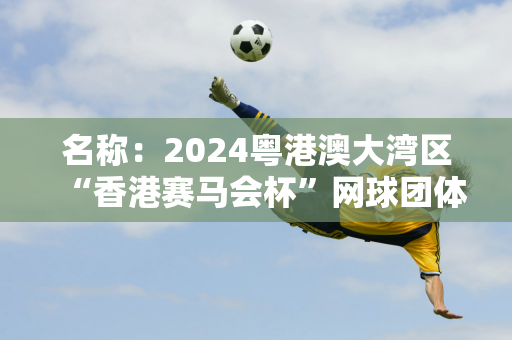 名称：2024粤港澳大湾区“香港赛马会杯”网球团体赛暨广东业余网球公开赛