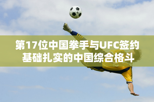 第17位中国拳手与UFC签约 基础扎实的中国综合格斗仍需“扩圈”