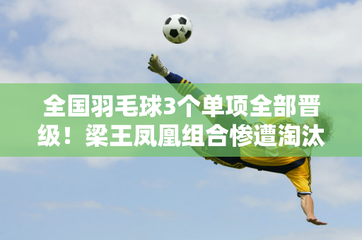 全国羽毛球3个单项全部晋级！梁王凤凰组合惨遭淘汰 决赛名额即将揭晓