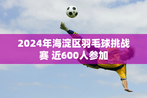 2024年海淀区羽毛球挑战赛 近600人参加