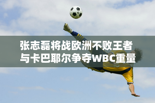 张志磊将战欧洲不败王者 与卡巴耶尔争夺WBC重量级临时拳击冠军腰带