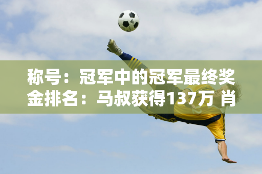 称号：冠军中的冠军最终奖金排名：马叔获得137万 肖国栋55万排名第二 丁俊晖排名第九