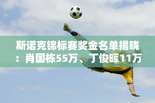 斯诺克锦标赛奖金名单揭晓：肖国栋55万、丁俊晖11万、马伟135万