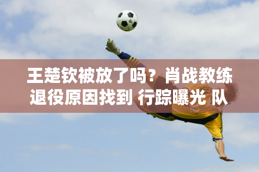 王楚钦被放了吗？肖战教练退役原因找到 行踪曝光 队友透露情况