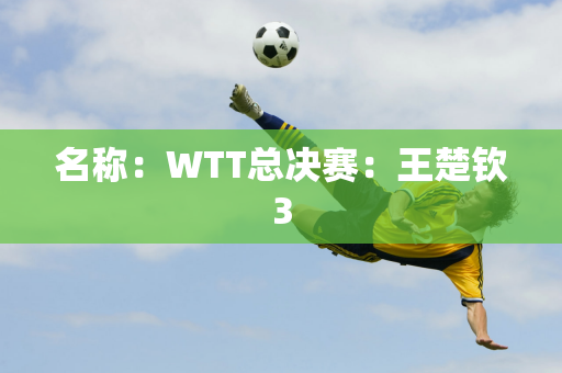 名称：WTT总决赛：王楚钦3