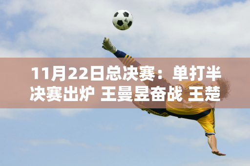 11月22日总决赛：单打半决赛出炉 王曼昱奋战 王楚钦王艺迪担负重任