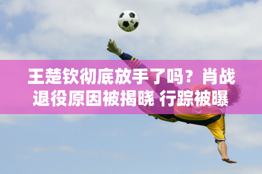 王楚钦彻底放手了吗？肖战退役原因被揭晓 行踪被曝光 队友又曝出新情况