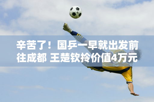 辛苦了！国乒一早就出发前往成都 王楚钦拎价值4万元的LV包 孙颖莎雪白羽绒服抢镜