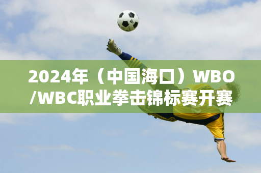 2024年（中国海口）WBO/WBC职业拳击锦标赛开赛