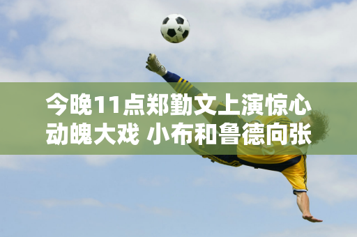 今晚11点郑勤文上演惊心动魄大戏 小布和鲁德向张志臻求教