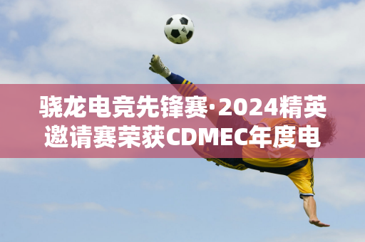 骁龙电竞先锋赛·2024精英邀请赛荣获CDMEC年度电竞创新营销案例