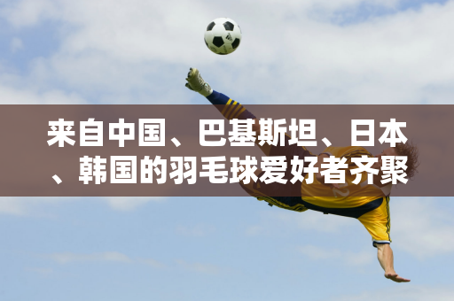 来自中国、巴基斯坦、日本、韩国的羽毛球爱好者齐聚圣保罗打球交友