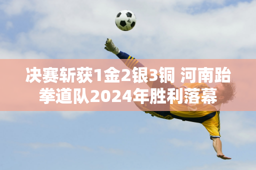 决赛斩获1金2银3铜 河南跆拳道队2024年胜利落幕