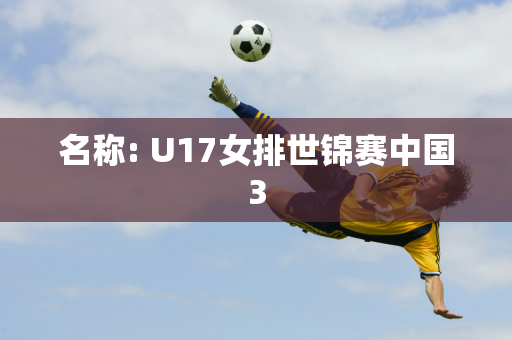 名称: U17女排世锦赛中国3