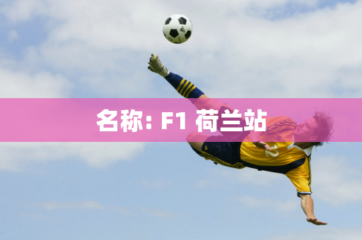 名称: F1 荷兰站