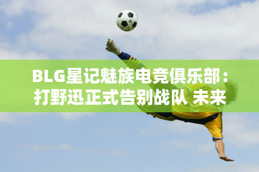 BLG星记魅族电竞俱乐部：打野迅正式告别战队 未来可期