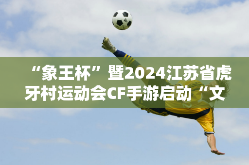 “象王杯”暨2024江苏省虎牙村运动会CF手游启动“文旅+电竞”赋能乡村振兴