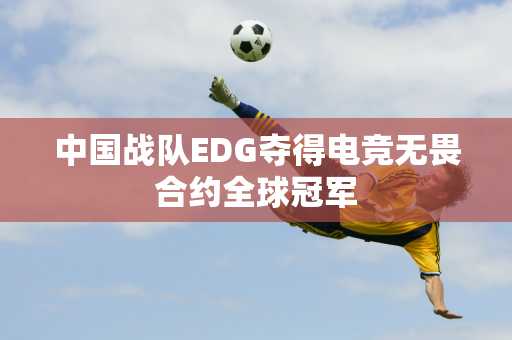 中国战队EDG夺得电竞无畏合约全球冠军