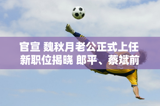 官宣 魏秋月老公正式上任 新职位揭晓 郎平、蔡斌前助理教练