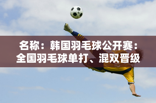 名称：韩国羽毛球公开赛：全国羽毛球单打、混双晋级决赛