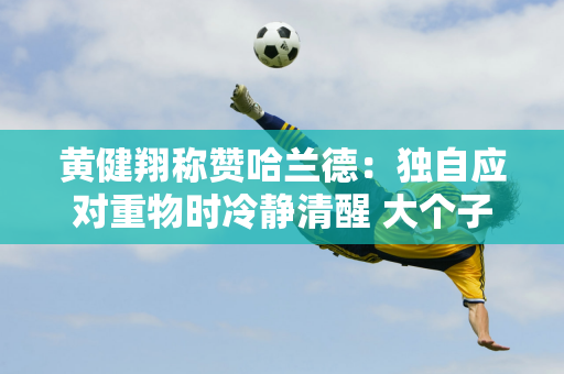 黄健翔称赞哈兰德：独自应对重物时冷静清醒 大个子也能做这么精致的事情