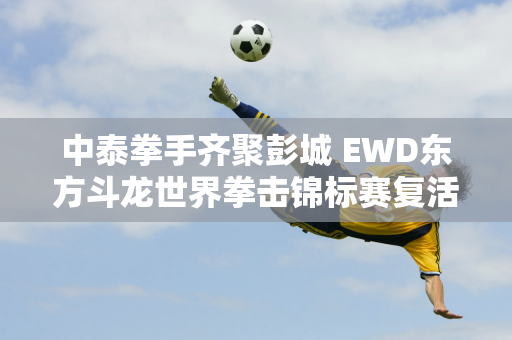 中泰拳手齐聚彭城 EWD东方斗龙世界拳击锦标赛复活