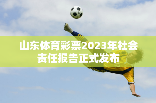 山东体育彩票2023年社会责任报告正式发布