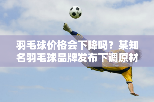 羽毛球价格会下降吗？某知名羽毛球品牌发布下调原材料采购价格的通知