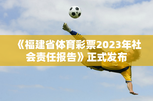 《福建省体育彩票2023年社会责任报告》正式发布