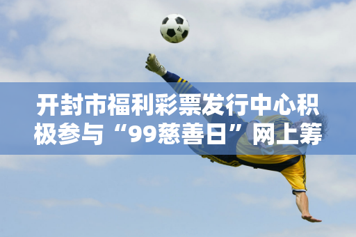 开封市福利彩票发行中心积极参与“99慈善日”网上筹款活动