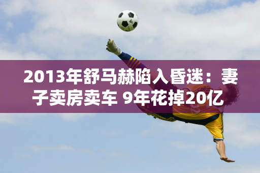 2013年舒马赫陷入昏迷：妻子卖房卖车 9年花掉20亿 坚决不让他安乐死