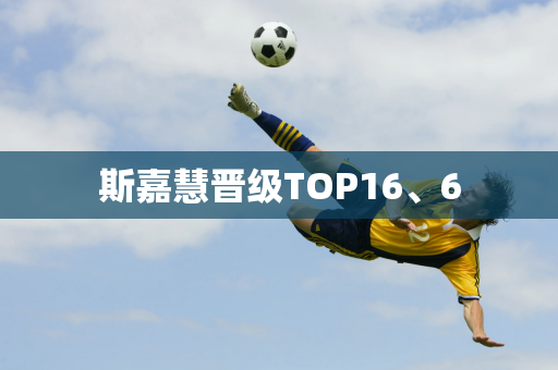 斯嘉慧晋级TOP16、6