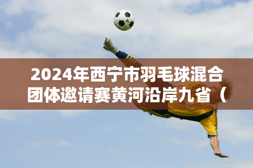 2024年西宁市羽毛球混合团体邀请赛黄河沿岸九省（区）开赛