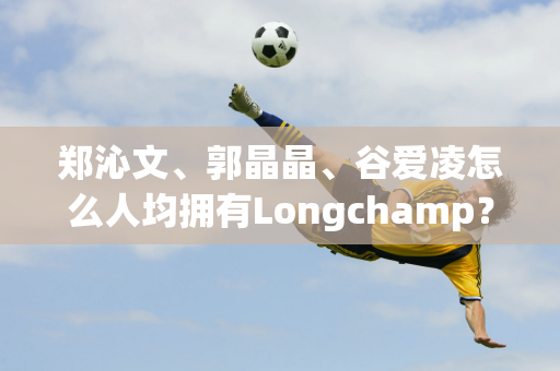 郑沁文、郭晶晶、谷爱凌怎么人均拥有Longchamp？